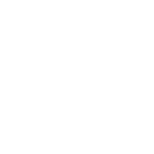 LOGO LASSAL